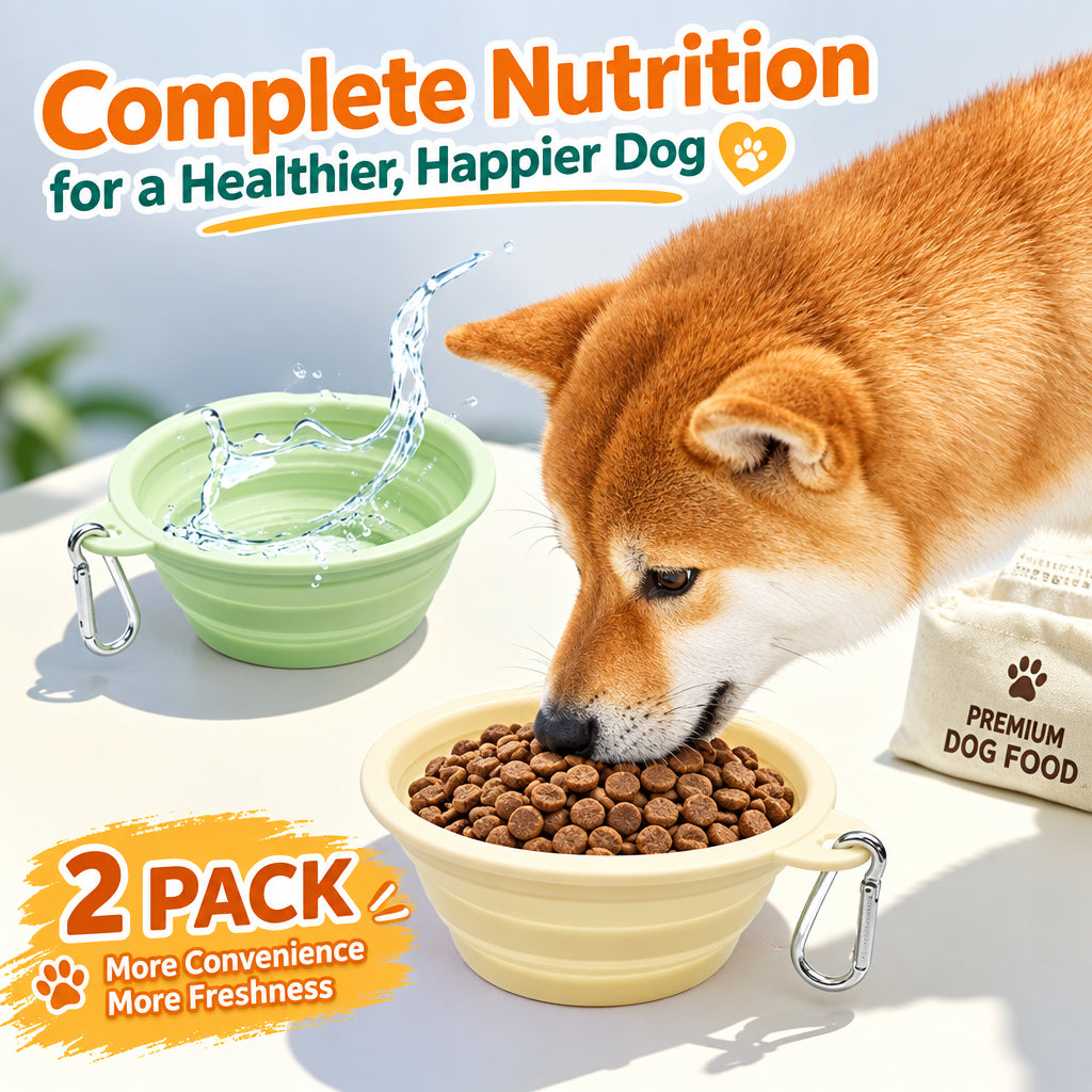 Silicone dog travel bowl in multiple color options