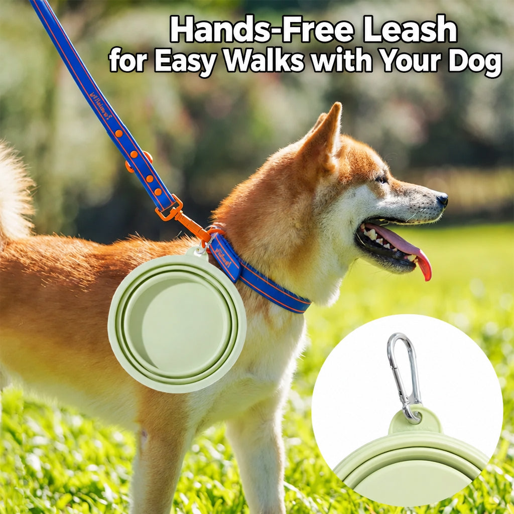 Portable collapsible dog bowl for walks and outdoor travel